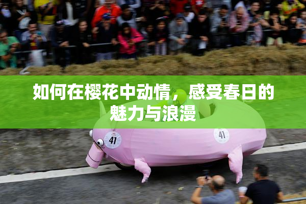 如何在樱花中动情，感受春日的魅力与浪漫
