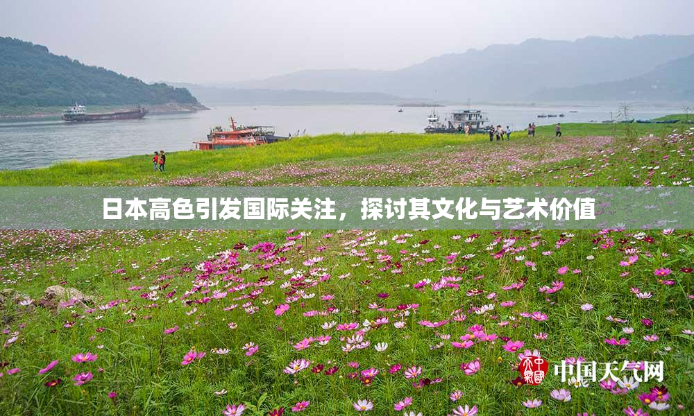 日本高色引发国际关注，探讨其文化与艺术价值