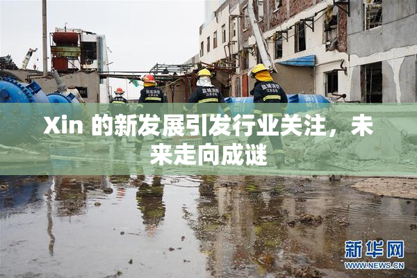 Xin 的新发展引发行业关注，未来走向成谜