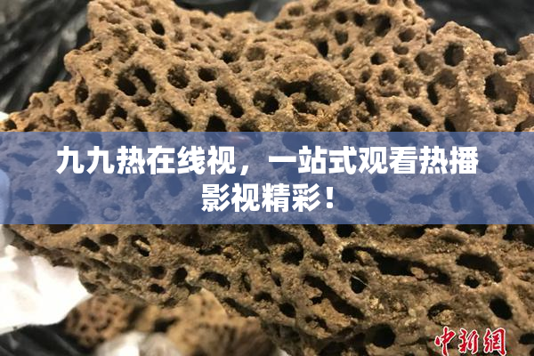 九九热在线视，一站式观看热播影视精彩！