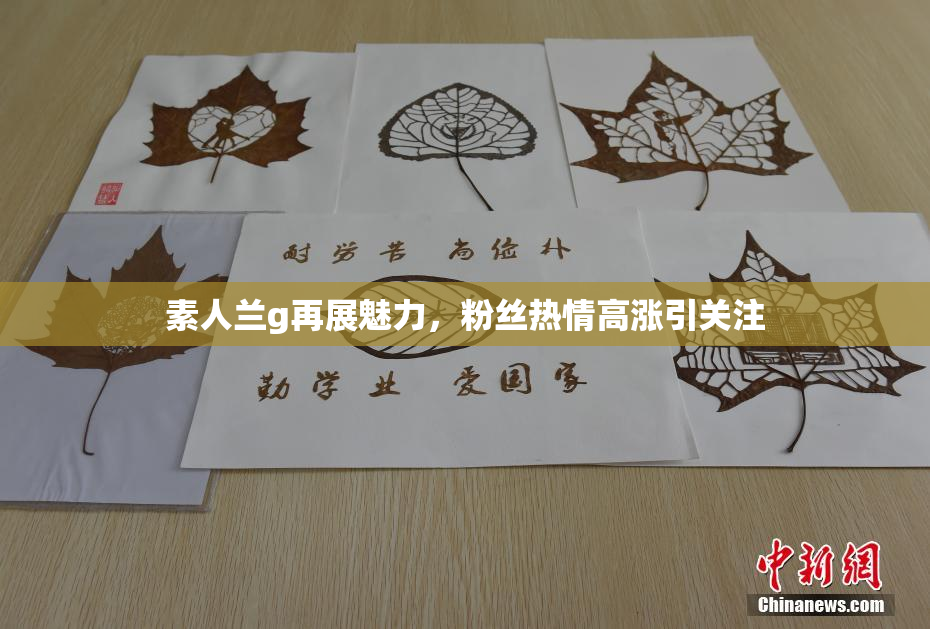 素人兰g再展魅力，粉丝热情高涨引关注