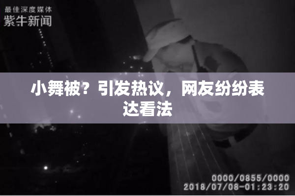 小舞被？引发热议，网友纷纷表达看法