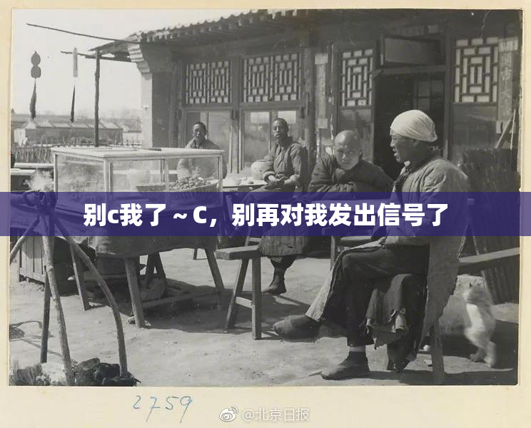 别c我了～C，别再对我发出信号了
