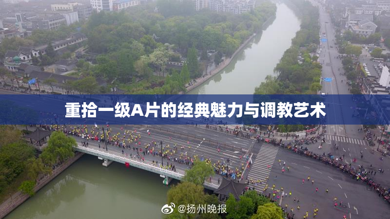 重拾一级A片的经典魅力与调教艺术