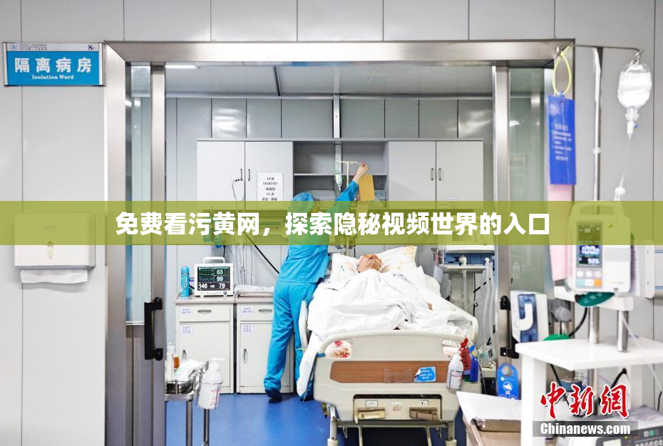 免费看污黄网，探索隐秘视频世界的入口
