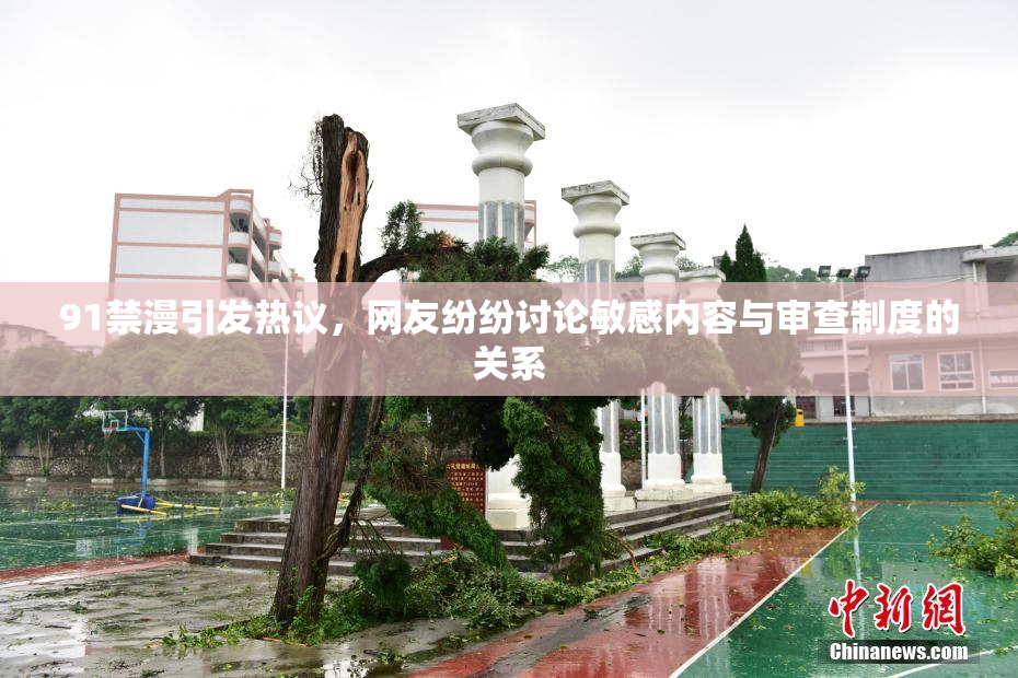 91禁漫引发热议，网友纷纷讨论敏感内容与审查制度的关系