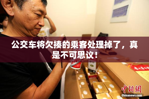 公交车将欠揍的乘客处理掉了，真是不可思议！