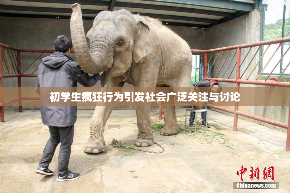 初学生疯狂行为引发社会广泛关注与讨论