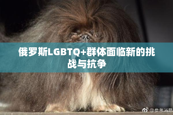 俄罗斯LGBTQ+群体面临新的挑战与抗争