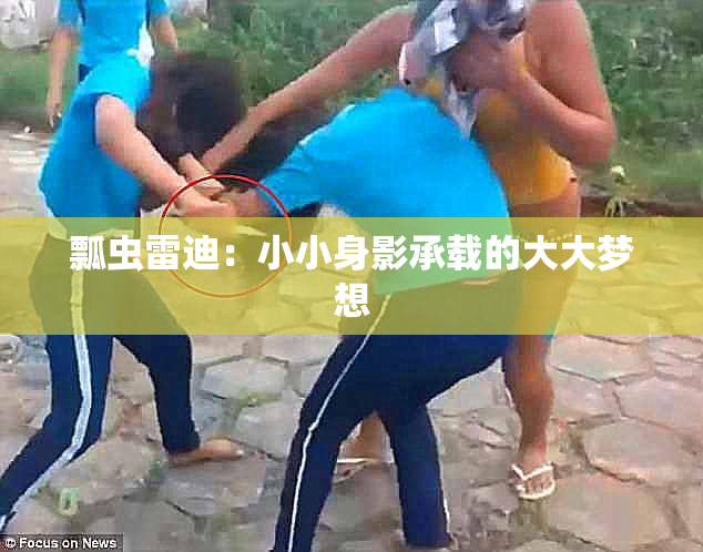 瓢虫雷迪：小小身影承载的大大梦想
