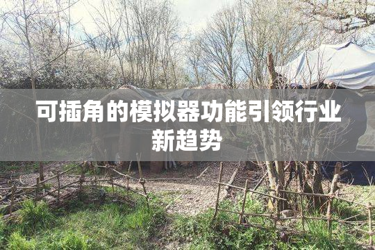可插角的模拟器功能引领行业新趋势