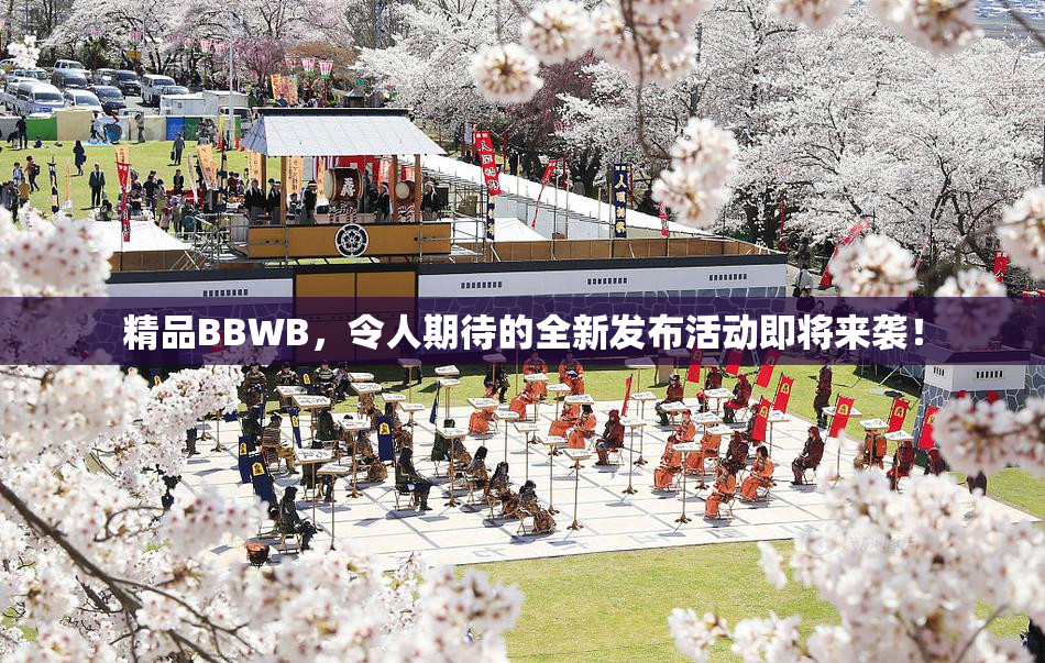 精品BBWB，令人期待的全新发布活动即将来袭！