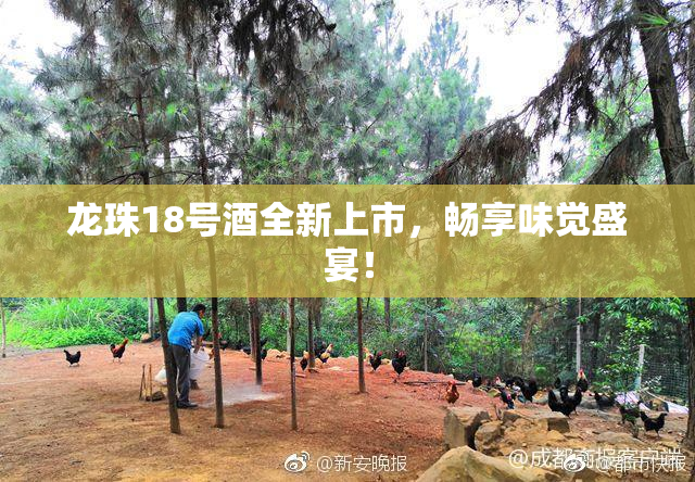 龙珠18号酒全新上市，畅享味觉盛宴！