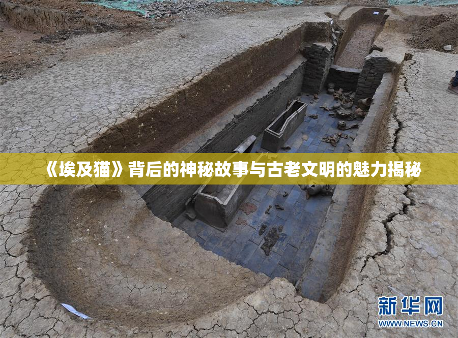 《埃及猫》背后的神秘故事与古老文明的魅力揭秘