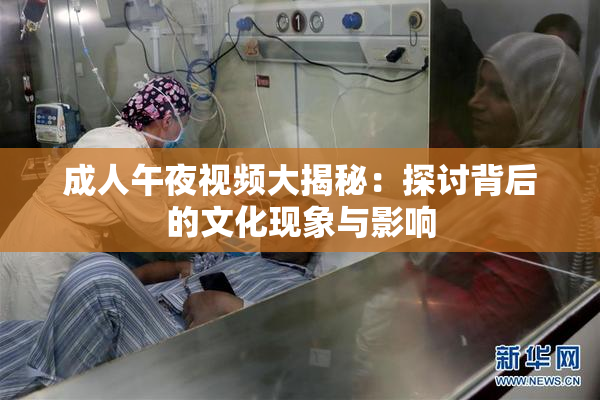 成人午夜视频大揭秘：探讨背后的文化现象与影响