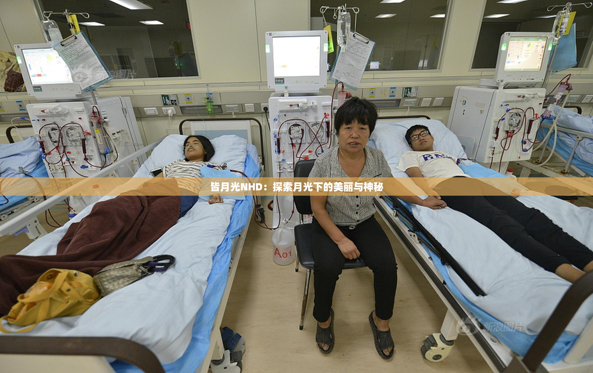 皆月光NHD：探索月光下的美丽与神秘