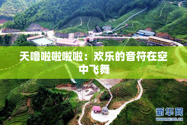 天噜啦啦啦啦：欢乐的音符在空中飞舞