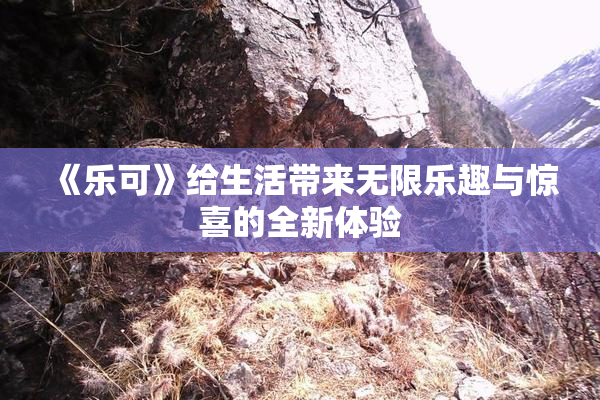 《乐可》给生活带来无限乐趣与惊喜的全新体验