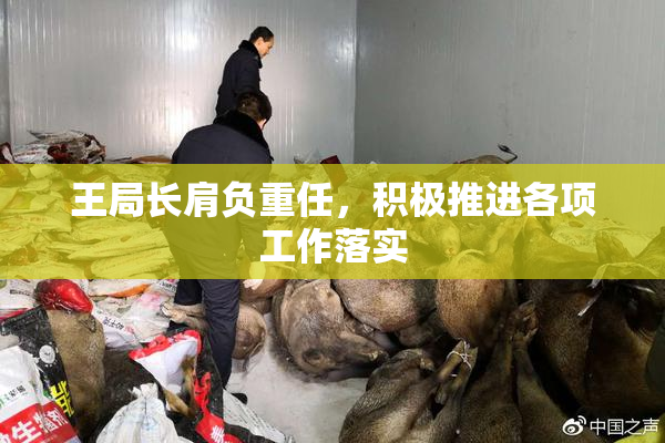 王局长肩负重任，积极推进各项工作落实