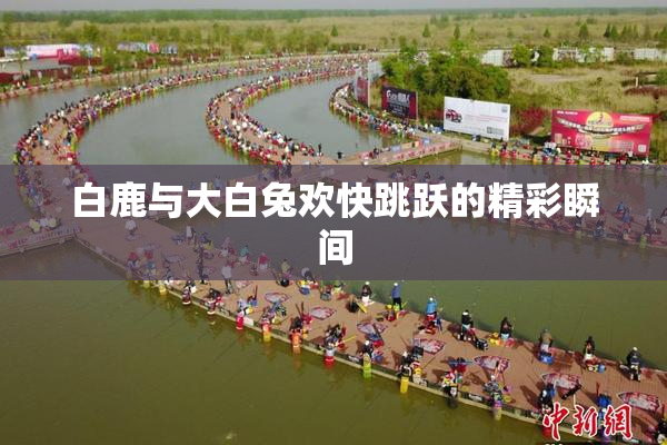 白鹿与大白兔欢快跳跃的精彩瞬间