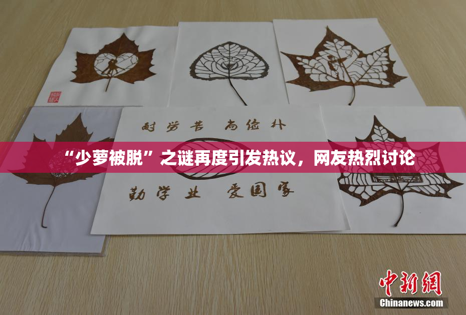 “少萝被脱”之谜再度引发热议，网友热烈讨论