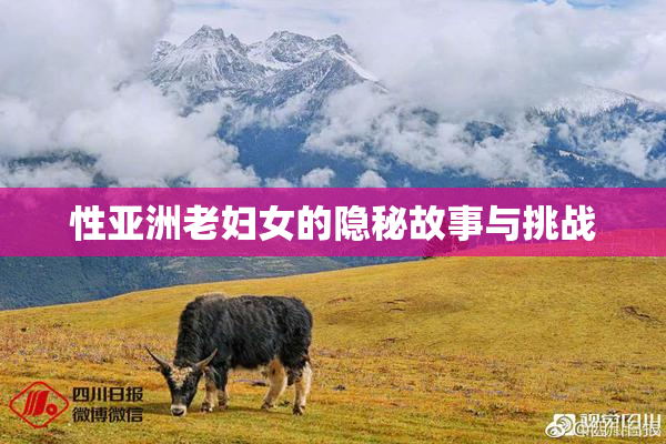 性亚洲老妇女的隐秘故事与挑战