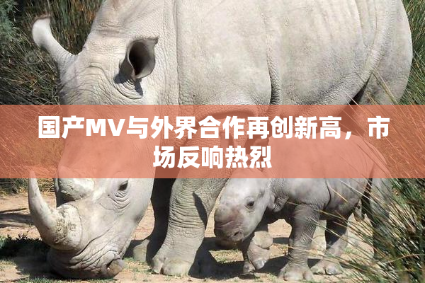 国产MV与外界合作再创新高，市场反响热烈