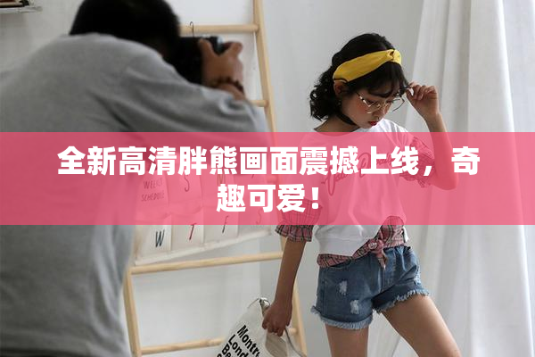 全新高清胖熊画面震撼上线，奇趣可爱！