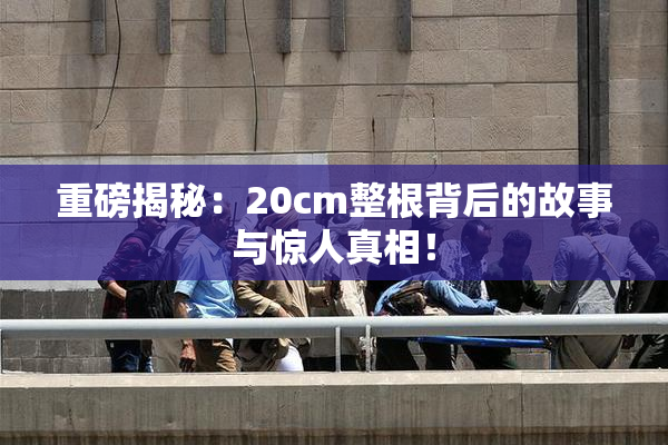 重磅揭秘：20cm整根背后的故事与惊人真相！