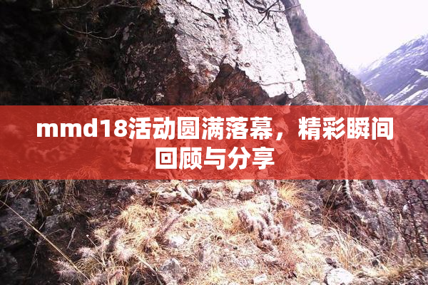 mmd18活动圆满落幕，精彩瞬间回顾与分享