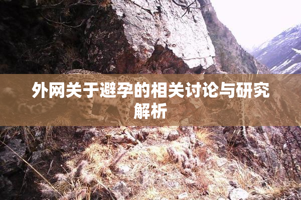 外网关于避孕的相关讨论与研究解析