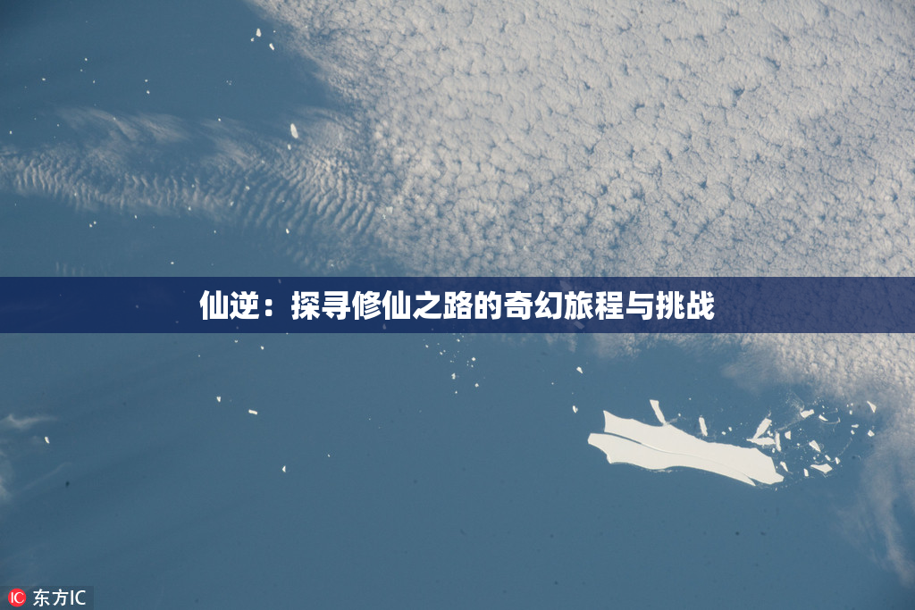 仙逆：探寻修仙之路的奇幻旅程与挑战