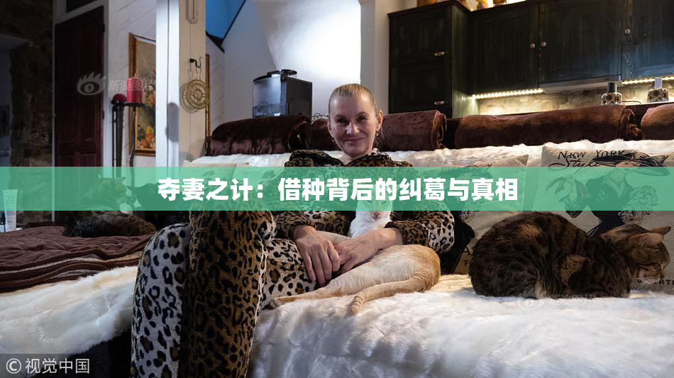 夺妻之计：借种背后的纠葛与真相