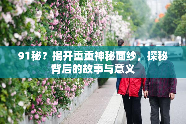 91秘？揭开重重神秘面纱，探秘背后的故事与意义