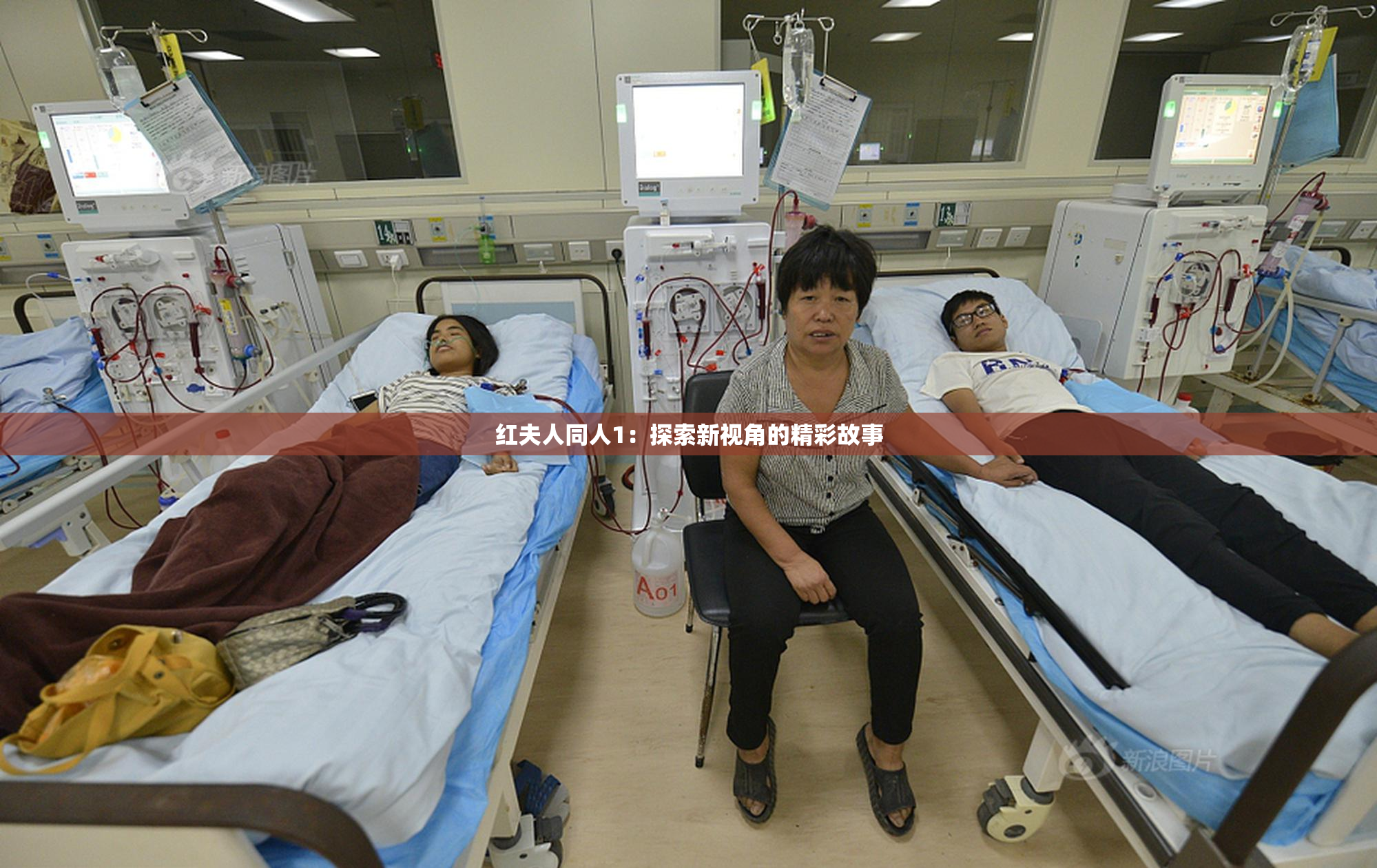 红夫人同人1：探索新视角的精彩故事