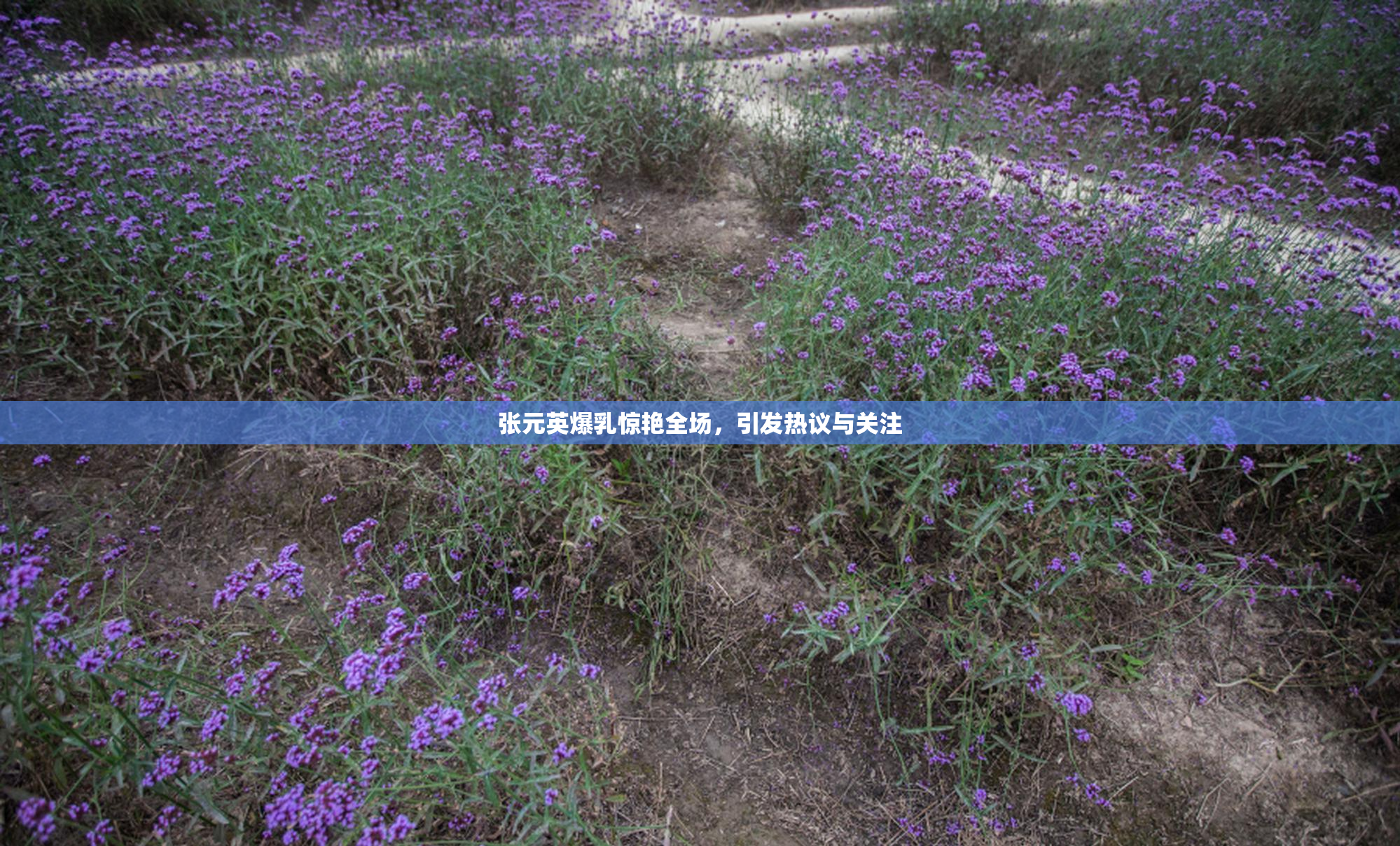 张元英爆乳惊艳全场，引发热议与关注
