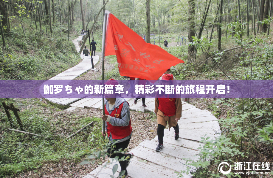 伽罗ちゃ的新篇章，精彩不断的旅程开启！