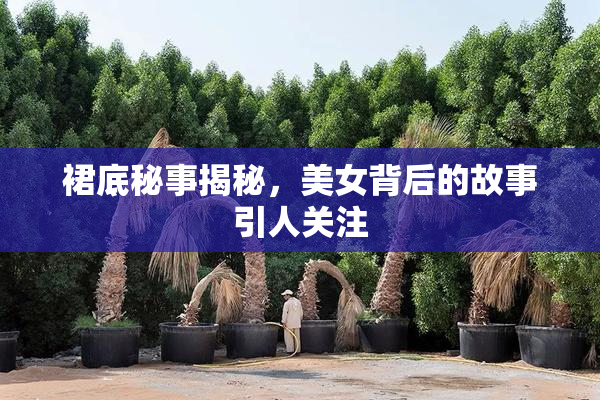裙底秘事揭秘，美女背后的故事引人关注