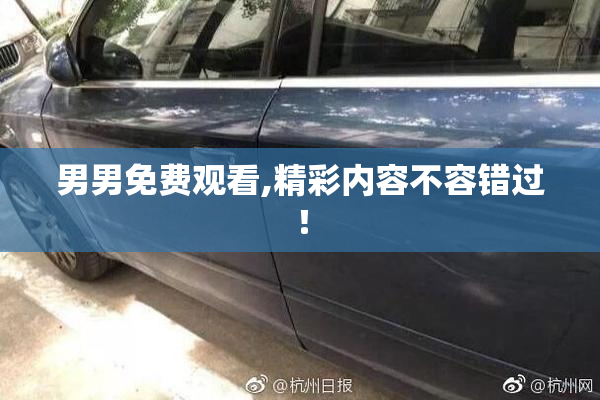 男男免费观看,精彩内容不容错过！