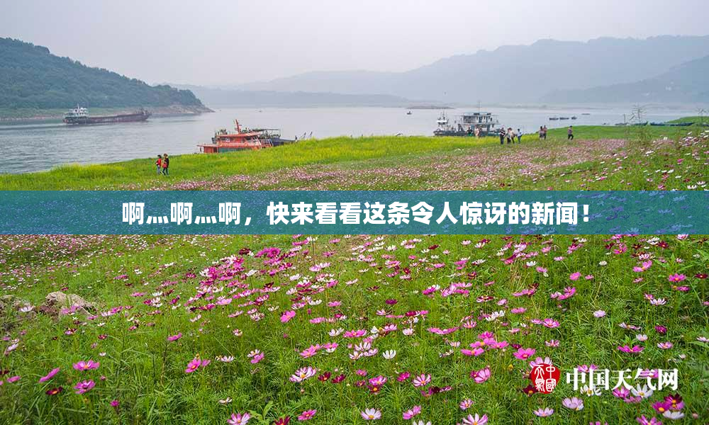 啊灬啊灬啊，快来看看这条令人惊讶的新闻！