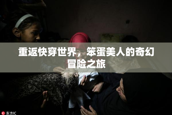 重返快穿世界，笨蛋美人的奇幻冒险之旅