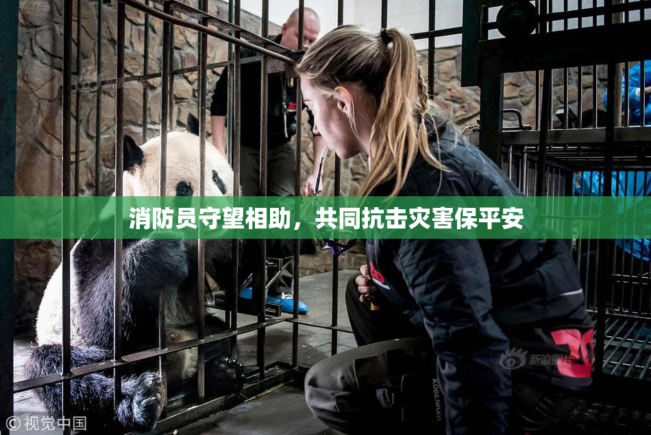 消防员守望相助，共同抗击灾害保平安
