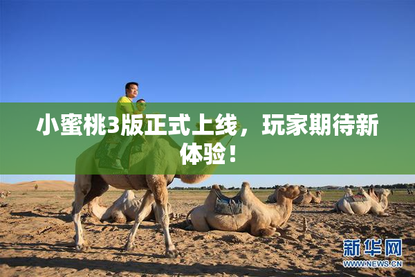 小蜜桃3版正式上线，玩家期待新体验！