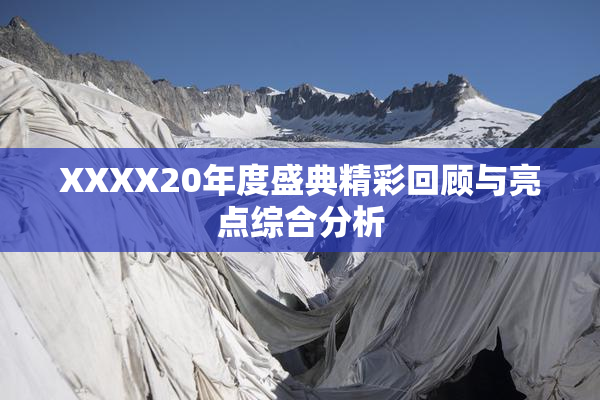 XXXX20年度盛典精彩回顾与亮点综合分析