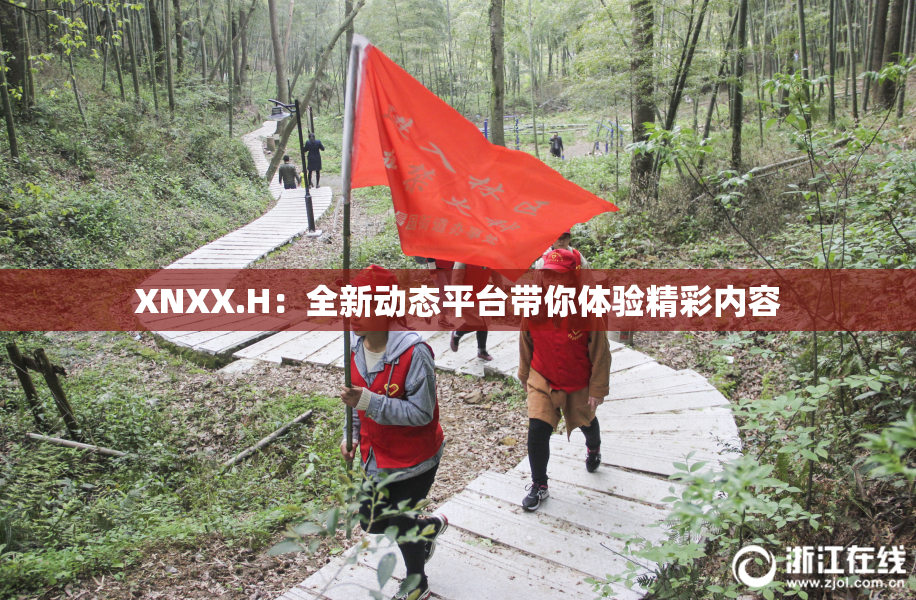 XNXX.H：全新动态平台带你体验精彩内容