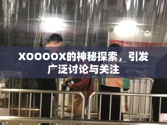 XOOOOX的神秘探索，引发广泛讨论与关注