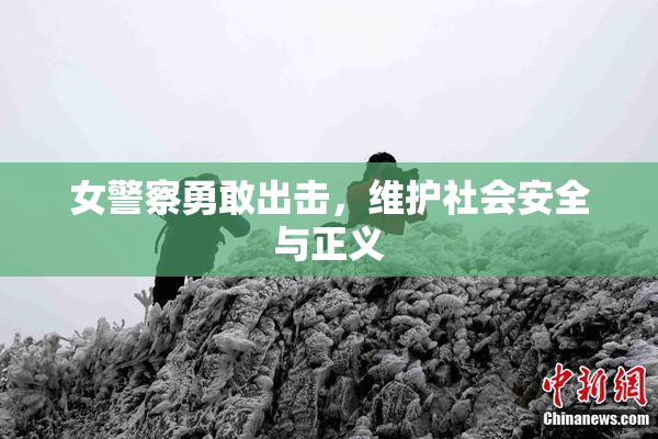 女警察勇敢出击，维护社会安全与正义