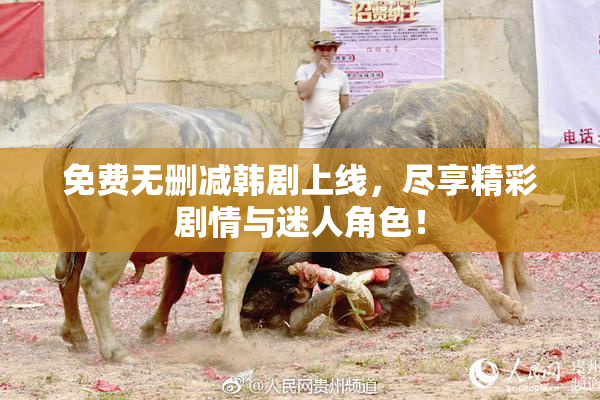 免费无删减韩剧上线，尽享精彩剧情与迷人角色！