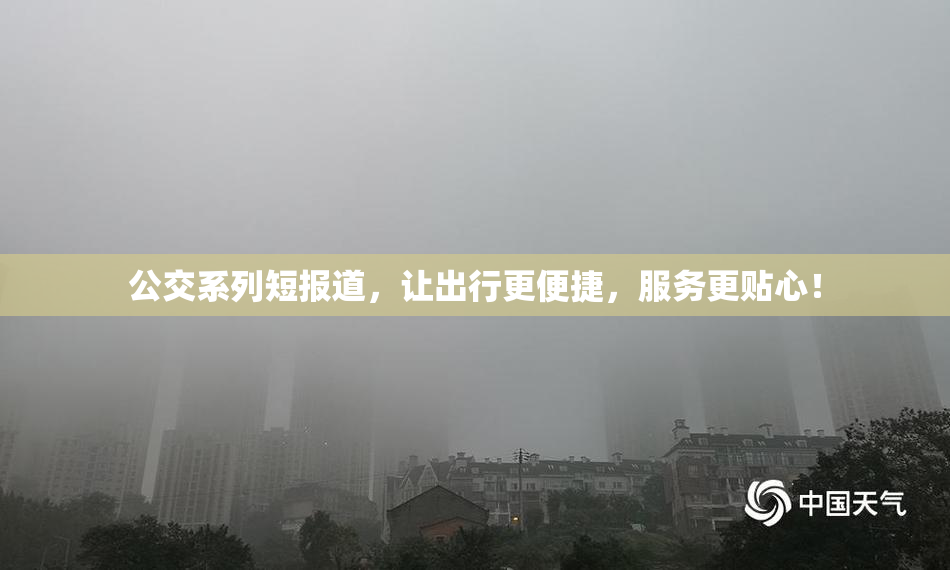 公交系列短报道，让出行更便捷，服务更贴心！