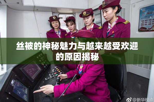丝被的神秘魅力与越来越受欢迎的原因揭秘